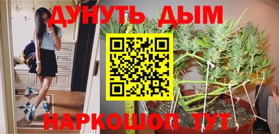 apvp Ирбит